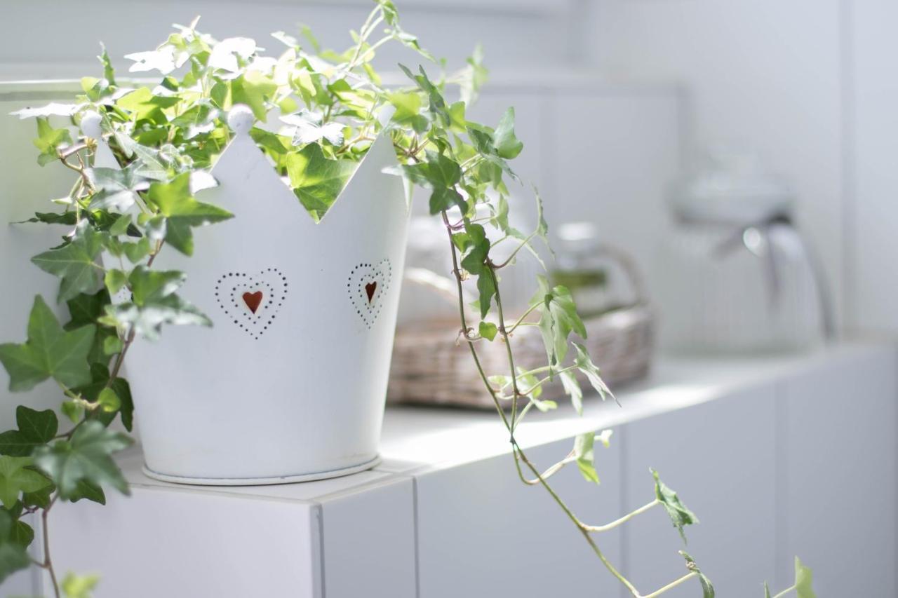 Nordic Im Deichhaus Apartment Хузум Екстериор снимка